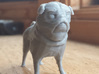 Pug Figurine 3d printed 