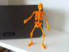 Articulated Skeleton  3d printed 