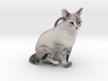 Custom Cat Ornament - Roxy 3d printed 