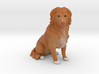 Custom Dog Figurine - Jasper 3d printed 