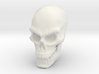 Pirate Skull 3d printed 
