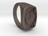Test Squadron - Signet Ring - Alternate (Embed) 3d printed 