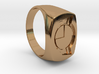 Test Squadron - Signet Ring - Size 11 - (Embed) 3d printed 