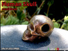 Human Skull Bead - small 3d printed printed in Stainless Steel 