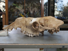big dromedary skull 3d printed Original