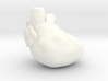 Human Heart 3d printed 