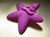 Indian Hippie Starfish 3d printed 