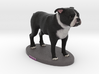 Custom Dog Figurine - Chiana 3d printed 